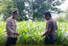 Dukung Misi Ketahanan Pangan, Polsek Kwanyar Edukasi Petani Desa Ketetang