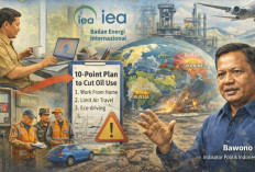 Kebijakan WFH Sejalan Imbauan IEA, Pengamat Sebut Respons Isu Global