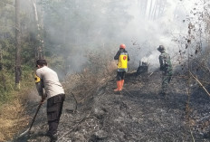 Karhutla Gunung Botak Sine Ngawi Belum Padam, Polisi Perkuat Pemantauan dan Upaya Pemadaman