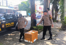 Paket Misterius Bikin Heboh Tulungagung, Ternyata 120 Pack Daging Fillet