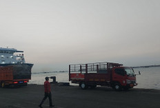 Pancaroba, Angin Kencang Picu Gelombang Tinggi di Perairan Jatim