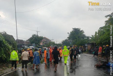Polres Ngawi Cepat Tangani Pohon Tumbang, Korban Segera Dievakuasi