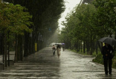 Prakiraan Cuaca Jawa Timur 2 April 2026 Didominasi Hujan Ringan hingga Sedang