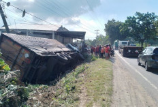 Tronton Tabrak Scoopy di Gresik, Dua Pengendara Motor Tewas