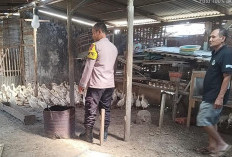 Dukung Ketahanan Pangan, Bhabinkamtibmas Lakarsantri Sambangi Peternak yang Sukses Optimalkan Lahan Terbatas