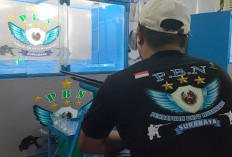PBN Gelar Festival Uji Tembak Batu di Surabaya