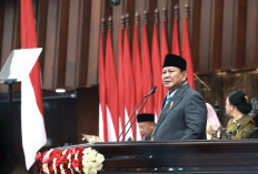 Pemerintah Siap Ganti 13 GW Pembangkit Diesel dengan 30 GW PLTS Tahun Ini