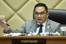 Komisi II DPR Warning Pejabat yang Bermain Rekrut Honorer 