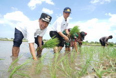 Bupati Bangkalan Dorong Peningkatan Produktivitas Pertanian dan Hilirisasi Beras