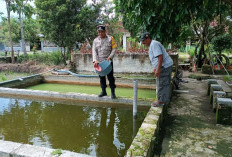 Dukung Ketahanan Pangan, Bhabinkamtibmas Polsek Padas Cek Kolam Ikan Warga di Ngawi