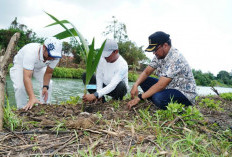 Targetkan Pengembangan 100 Hektare, Bupati Bangkalan Tanam Kelapa Bersama Anggota Poktan Kencat
