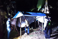 Polisi Bongkar dan Bakar Arena Judi Sabung Ayam di Singosari
