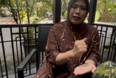 Kebakaran KMP Mutiara Sentosa 2, Seluruh Rantai Pelayaran Harus Disidik