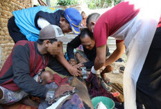 Terpasung Bertahun-tahun, 10 ODGJ Pasuruan Dibebaskan Dinsos Jatim