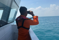 Basarnas Perpanjang Operasi SAR KM Virgo Transport 8 Tujuh Hari