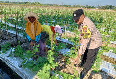 Bhabinkamtibmas Geneng Monitoring Pekarangan Pangan Bergizi, Dorong Ketahanan Pangan Warga Ngawi