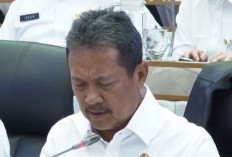 Produksi Ikan Nasional Diproyeksikan Capai 10,57 Juta Ton hingga Akhir 2026