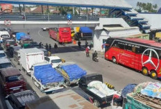 Operasional Pelabuhan Tanjung Wangi Normal, Kemacetan Ketapang Bukan Akibat Aktivitas Pelabuhan