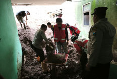 Warga dan Seekor Sapi Tertimbun Longsor di Nongkojajar Pasuruan