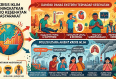 Panas Ekstrem dan Polusi Udara Tingkatkan Risiko Serangan Jantung dan Stroke