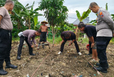 Sinergi Polres Pelabuhan Tanjung Perak dan Poktan, Uji pH Tanah Guna Genjot Produktivitas Jagung
