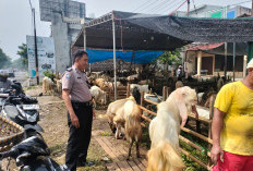 Jelang Iduladha, Bhabinkamtibmas Polsek Tandes Sambangi Lapak Hewan Kurban