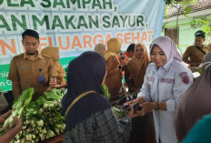 Pemkab Situbondo Bagikan Hasil Panen Sawi Organik dari Inovasi Limbah Dapur