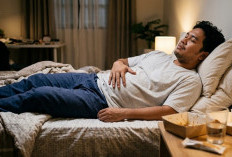 Tidur Setelah Makan Bikin Gemuk? Ini Fakta Sebenarnya