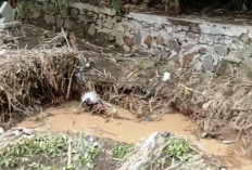 Kerangka Manusia di Nguling Kabupaten Pasuruan Menyembul ke Permukaan