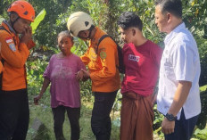 Lansia Hilang Dua Hari di Perkebunan Kopi Jember Ditemukan Selamat, Relawan PMI Turun dengan Motor Trail