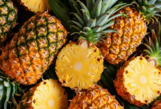 Nanas Ternyata Punya Banyak Manfaat, dari Asam Urat hingga Susah Tidur