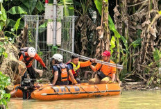 Alat Deteksi Banjir di Jombang Roboh Diterjang Material Pohon, BPBD Jatim Turun Tangan