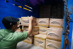 Bulog Pastikan Minyakita Tidak Langka, 9.000 Liter Didistribusikan ke Pasar Besar Madiun