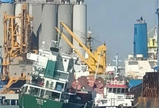 KM Pasifik 88 Terguling di Dermaga Jamrud Selatan, Muatan Kontainer Tumpah ke Laut