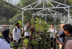 PT Terminal Teluk Lamong secara resmi meluncurkan Green House Titik Hijau dan Terima Tanaman Langka