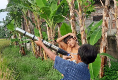 Jelang Ramadan, Tradisi Anak-anak Main Meriam Spirtus ‘Seldung’ Marak di Situbondo