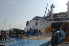 Pelabuhan Pelindo di NTT Berangsur Normal, Pemulihan Pelabuhan Maumere Dipercepat