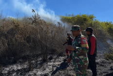 Sigap Tangani Karhutlah, Babinsa Argosari Bersama Forkopimcam dan Relawan Padamkan Api di Kawasan TNBTS