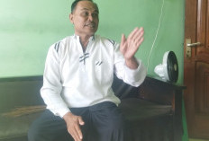 Di Balik Secangkir Kopi Panti Ada Perjuangan 1,5 Tahun Menjaga Kehidupan Bibit Robusta