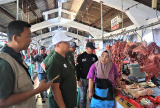 Permintaan Daging Sapi Naik 5 Persen saat Nataru, RPH Surabaya Jamin Stok Aman