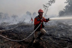 SiPongi Jadi Senjata Baru Polri Lawan Karhutla Hadapi El Nino dan Kemarau 2026