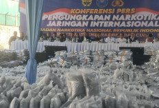 Cannabis Buds 3,37 Ton Terbongkar di Gresik, MUI Jatim: Harus Sanksi Berat