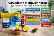 7 Cara Ampuh Usir Kecoa Bandel
