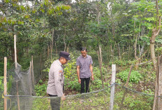 Bhabinkamtibmas Polsek Ngrambe Ajak Warga Manfaatkan Pekarangan untuk Ketahanan Pangan