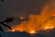  Kebakaran Arjuno-Welirang Dekati Permukiman, Jarak Titik Api Capai 2 Kilometer