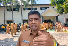 Dinas Pendidikan Tak Punya Nyali, Guru Honorer Jadi Tumbal Regulasi