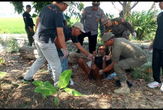 Polisi dan Satpol PP Ngawi Gerak Cepat Tangani ODGJ yang Resahkan Warga Cangakan