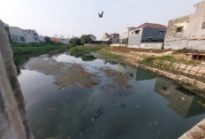 Ancam Nasib Ratusan Warga, DPRD Surabaya Desak Pemkot Hentikan Proyek Perluasan Bozem Simohilir