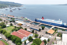 Pelindo Dukung Penyeberangan Tanjung Wangi-Lombok, Kini Layani Empat Kapal
