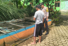 Bhabinkamtibmas Polsek Jogorogo Dorong Budidaya Lele, Optimalkan Pekarangan untuk Ketahanan Pangan
